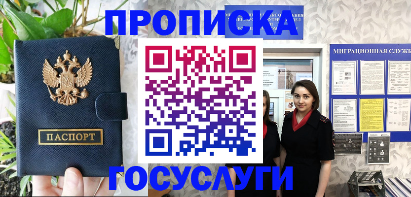 временная регистрация 2025 в Елизово